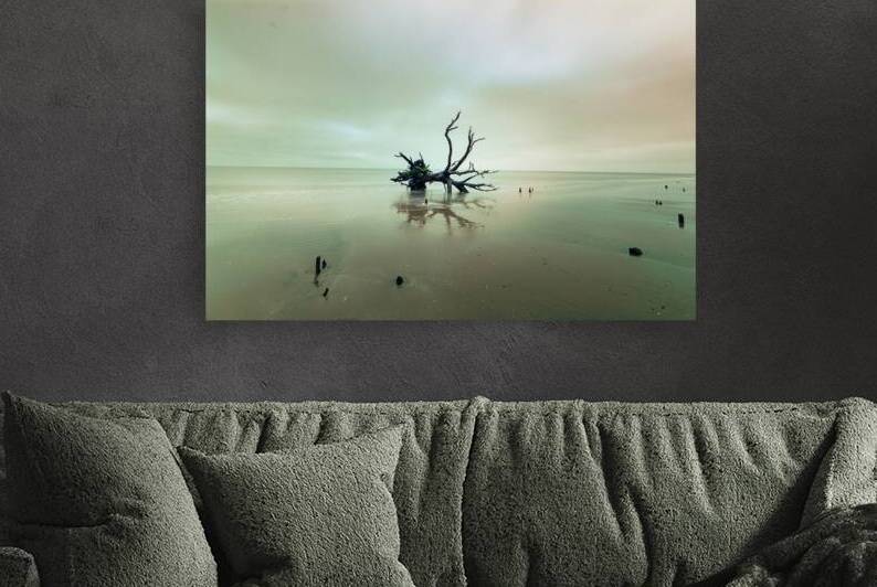 Botany Bay Sunrise Silhouette by Norma Brandsberg Photography