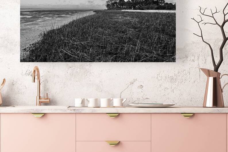 Low Tide at St. Marks Lighthouse by Andy Crawford