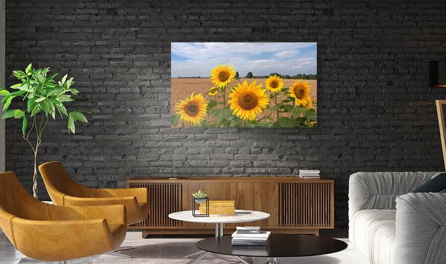 Sumertime on the Farm by Gill Billington