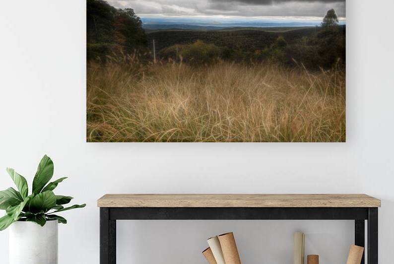 Alleghany Highlands of Virginia by Norma Brandsberg Photography