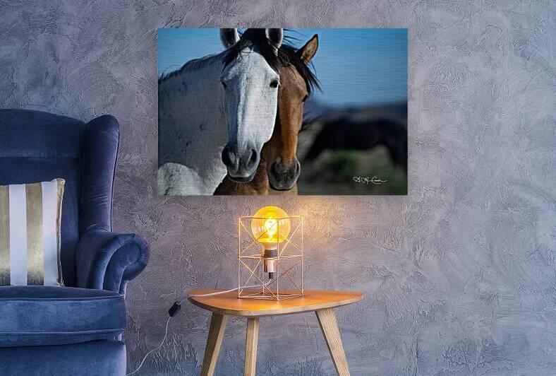 BZ9 7811 Enhanced NR by Susan Lynn Cooke