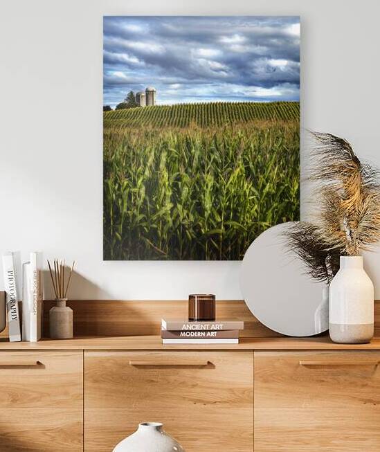 aMAIZing by Jean Vachon Photographe