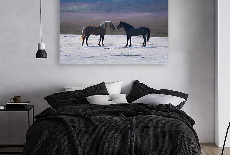 BZ9 8998 Enhanced NR by Susan Lynn Cooke