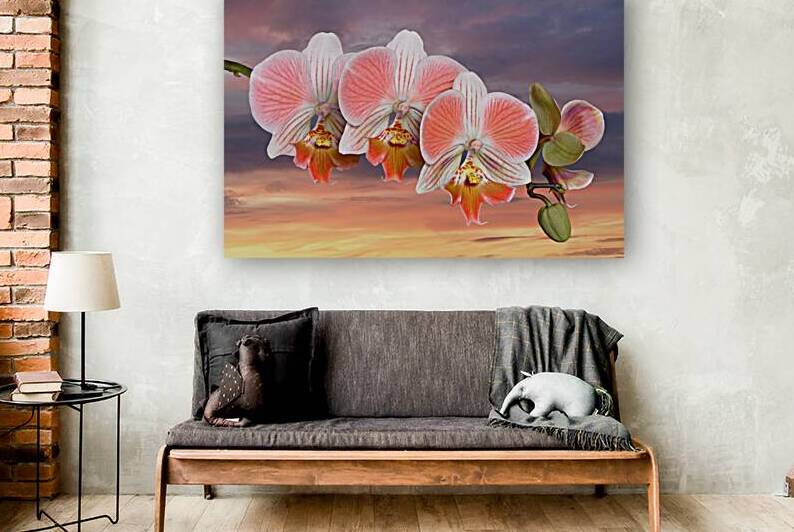 Coral Pink Orange Orchid Sunset by Gill Billington