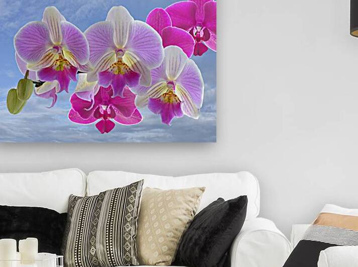 Colorful Purple Pink Orchids by Gill Billington