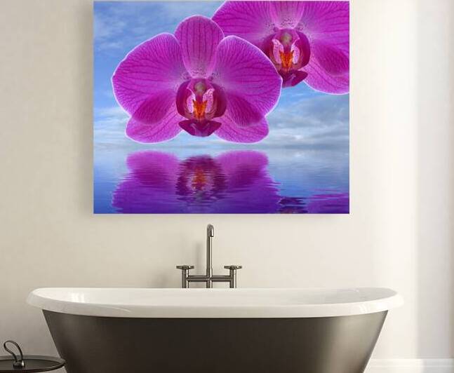 Purple Orchid Spa by Gill Billington