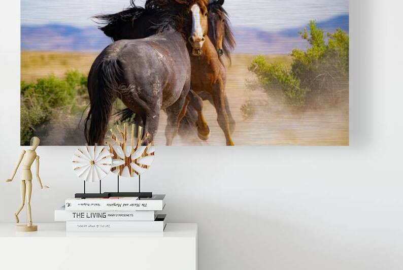 BZ9 0048 Enhanced NR by Susan Lynn Cooke