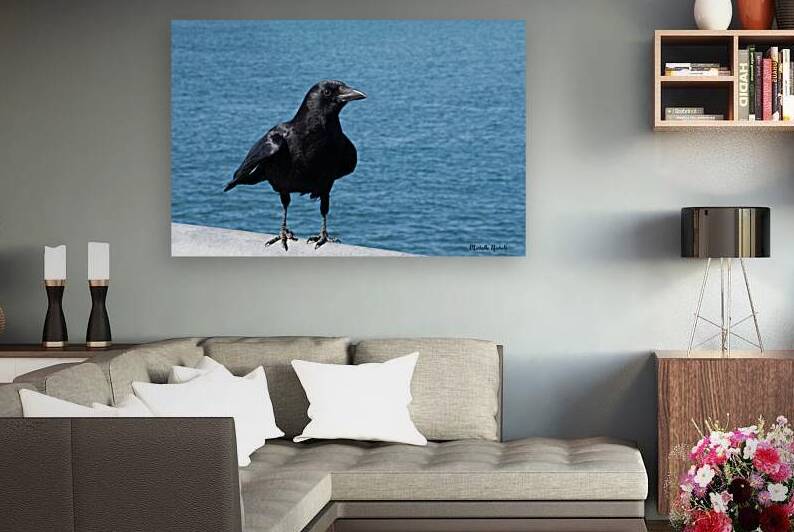 Crow at the Beach 1717431764.8933 by Michelle Nichols