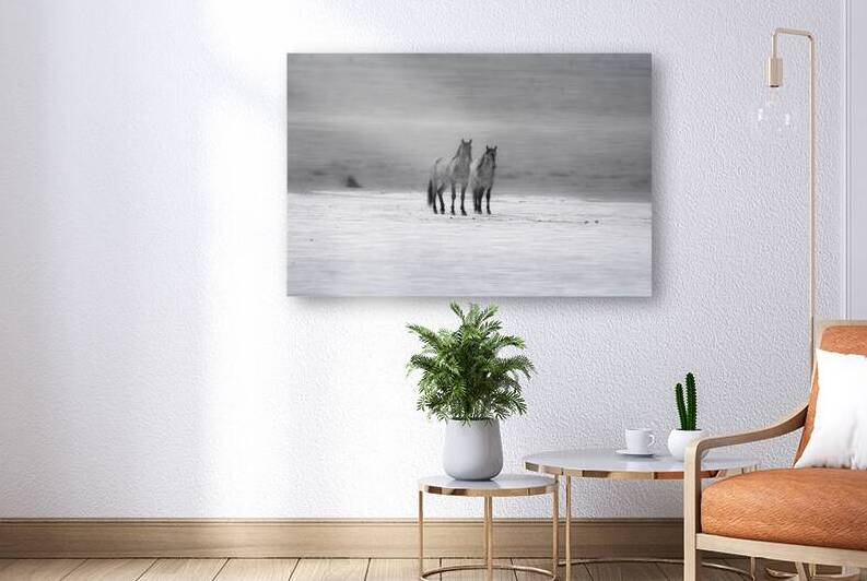 BZ9 1353 Enhanced NR by Susan Lynn Cooke