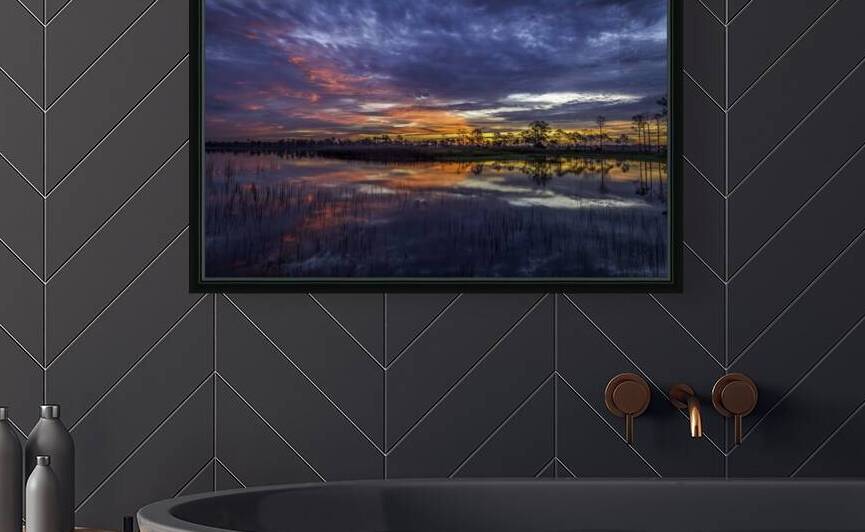 Gator Lake Florida Everglades by EarthsMoments by Marc Harris photographer