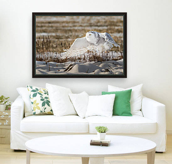 Envol by Richard Rivard