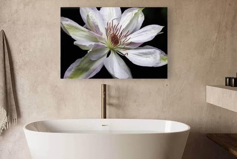 Hints Of Purple Clematis by Deb Oppermann
