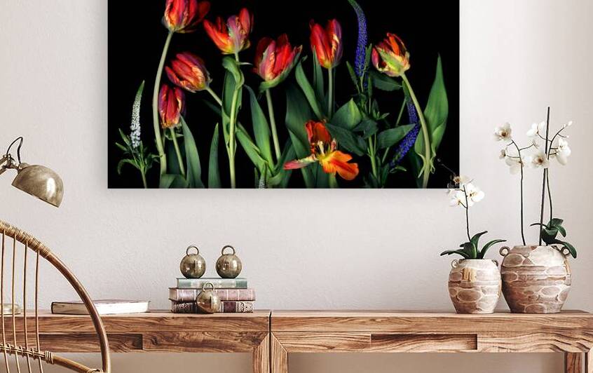 Dancing Parrot Tulips    by Jane Baron