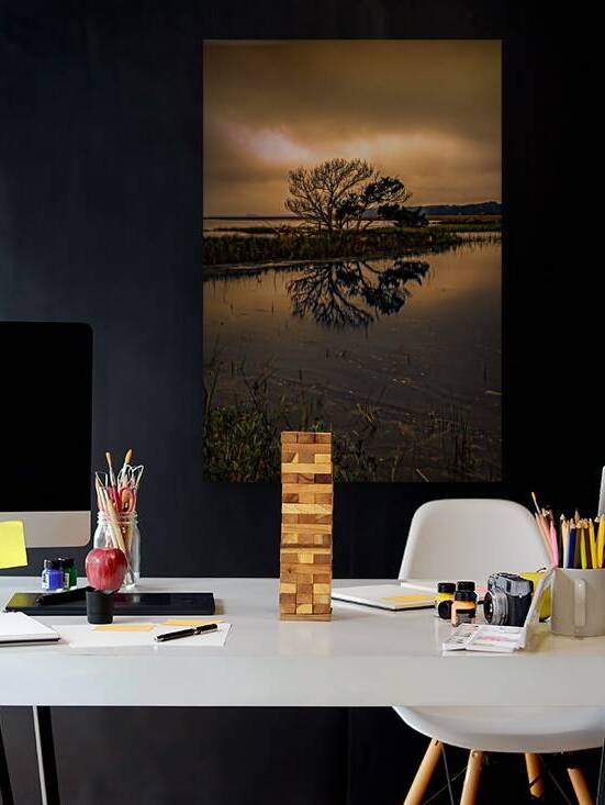 On the Low Country Horizon Silhouette by Norma Brandsberg Photography