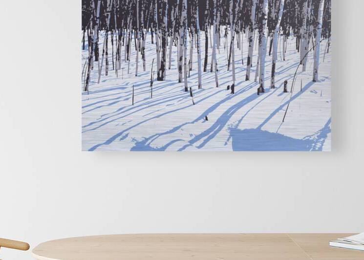 Birch Shadows on Snow by Joe Riederer
