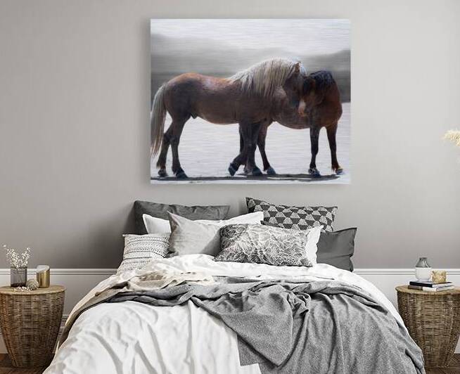 BZ9 0414 Enhanced NR by Susan Lynn Cooke