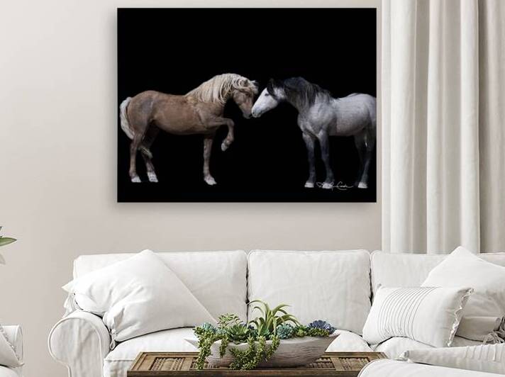 BZ9 3472 Enhanced NR 3 by Susan Lynn Cooke