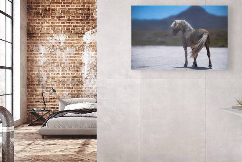 BZ9 0436 Enhanced NR 3 by Susan Lynn Cooke