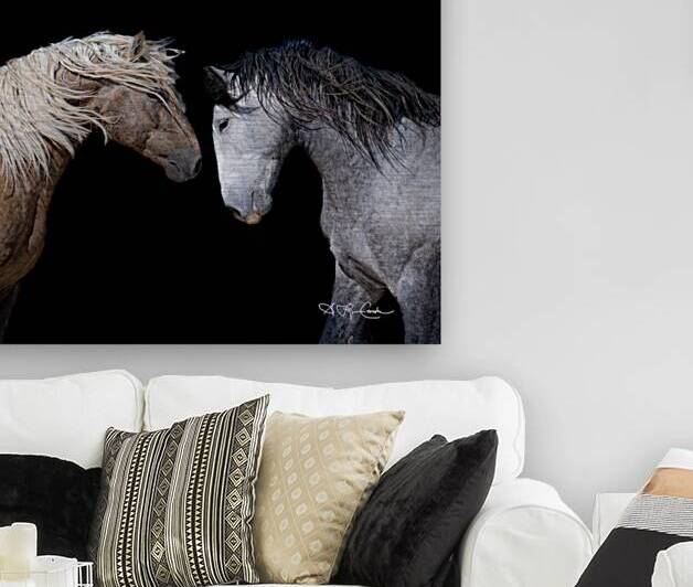 BZ9 3480 Enhanced NR by Susan Lynn Cooke