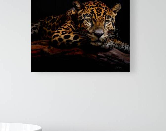 Resting Jaguar by Susanne McMillan Art