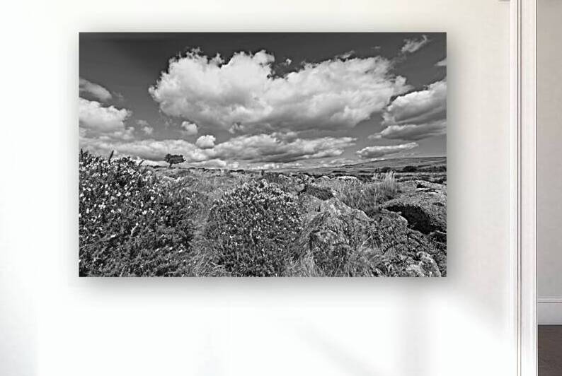 Wild Dartmoor Landscape Black and White by Gill Billington