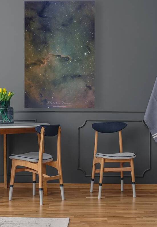 The elephants trunk nebula  by Fletcher isaacs