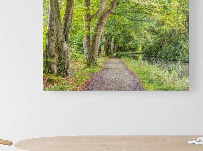 Path alongside Canal by Assaf Frank