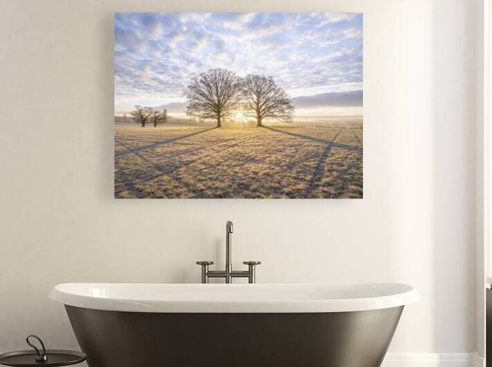 Meadow Majesty by Assaf Frank