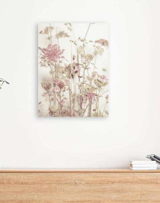 Blooming Flowers by Assaf Frank