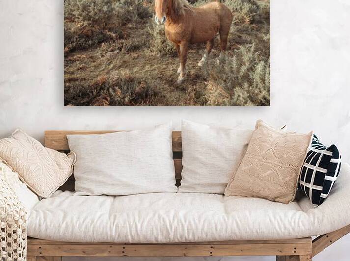 Graceful Wanderer by Assaf Frank