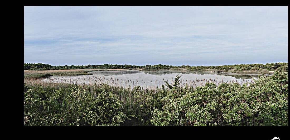 Bunker Pond - Deep Greens and Pastel Blue by Jason Fink