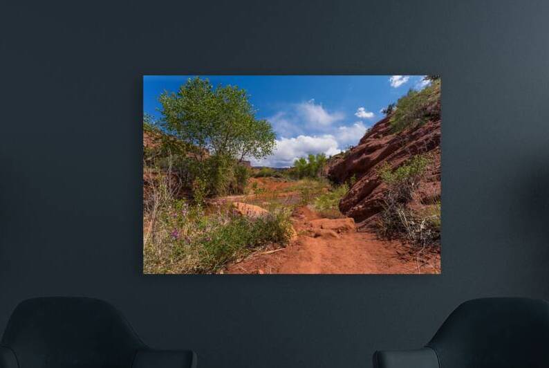 Professor Creek Trail Purple Flowers by Jennifer White