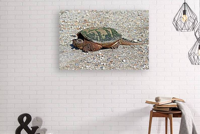 Slow Mover by Deb Oppermann