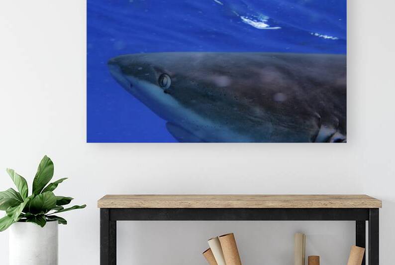 Raw by DeepEarth Photography