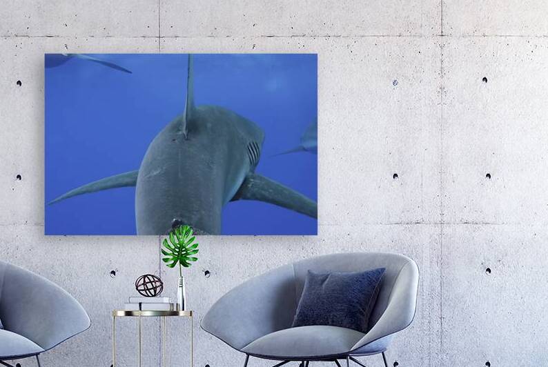 Follow by DeepEarth Photography