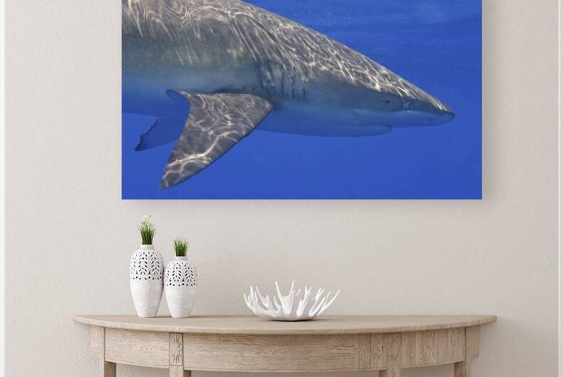 Circle by DeepEarth Photography