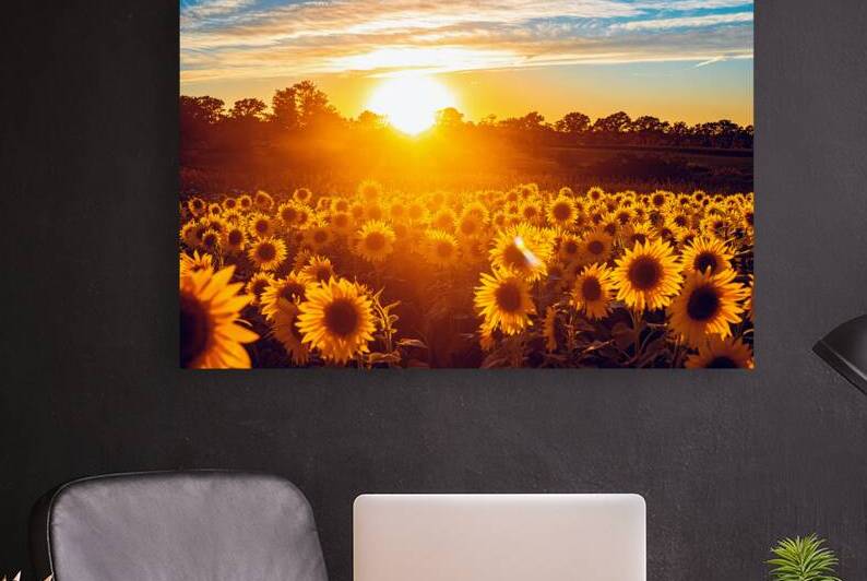 Sunflower Field Sunrise by One Simple Gallery