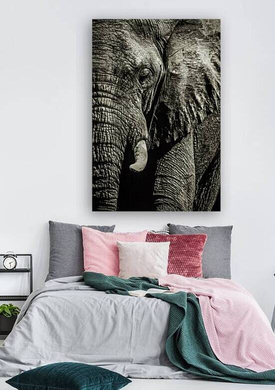 10994 Mon Elephant by John Gilsenan 