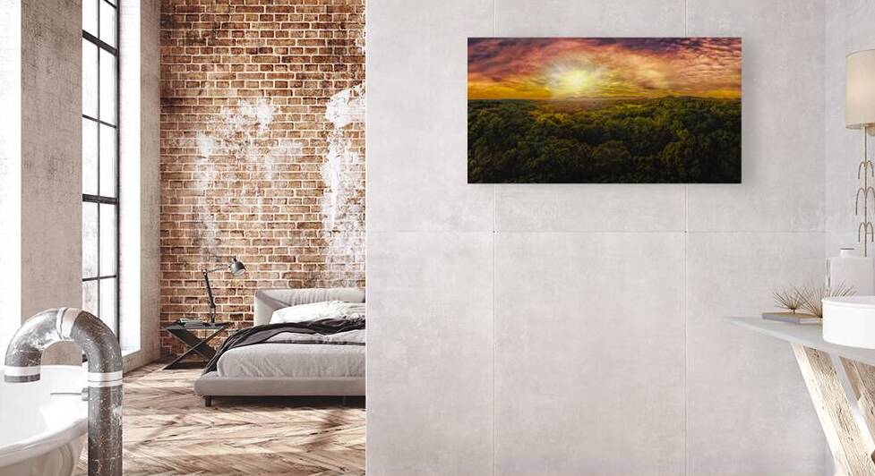 Flying Above the Treetops by Norma Brandsberg Photography