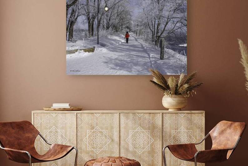 11468 Winter Wonder Land by John Gilsenan 