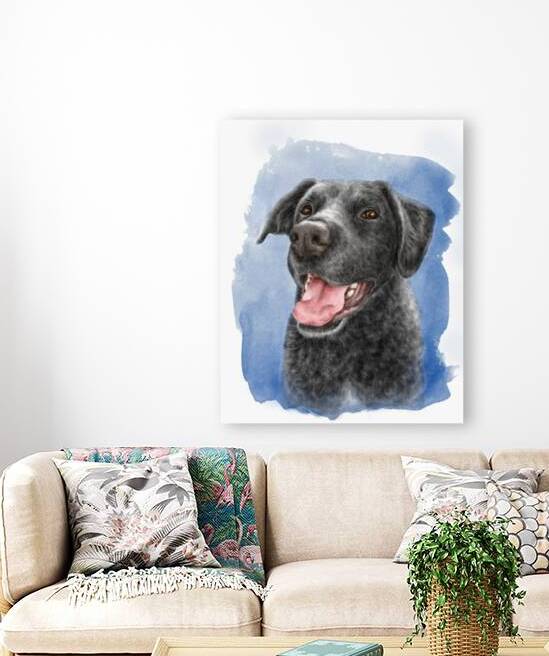 Black labrador retriever dog portrait by Kevin Miller Photography
