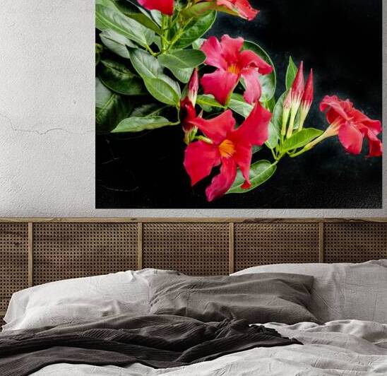 Red Mandevilla Flower Vine X 1 by Rich Franco