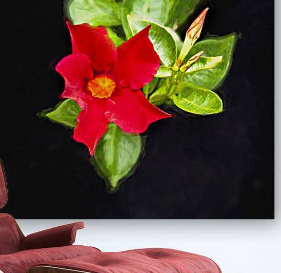 Red Mandevilla Flower Vine X 4 by Rich Franco