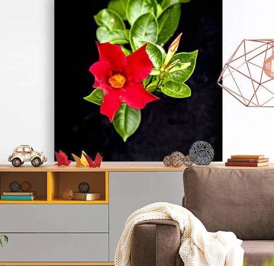 Red Mandevilla Flower Vine X 5 by Rich Franco