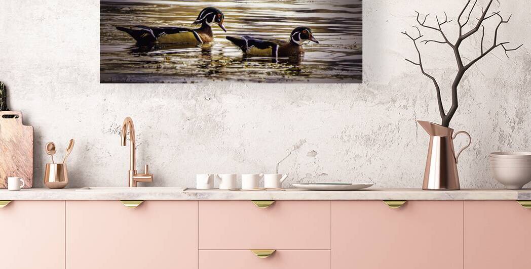 10858 A Pair of Wood Ducks by John Gilsenan 