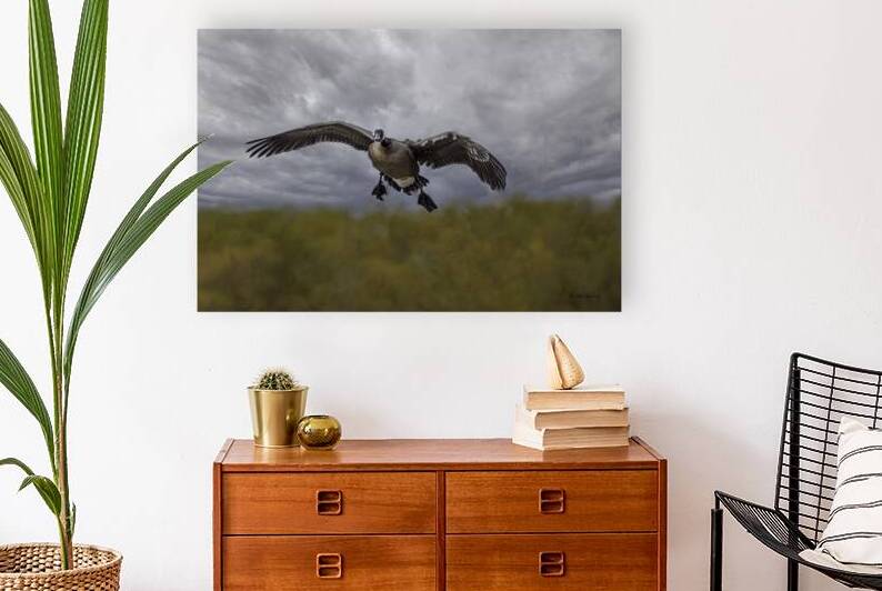 10487 Landing Gear by John Gilsenan 