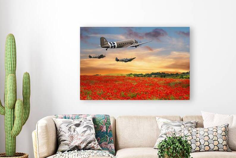 Dakota and Spitfires over Poppy Field by Gill Billington