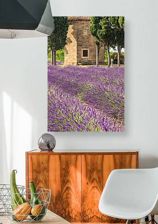 Lavender lines in Italy. Tuscany coutryside scenery landscape at by Paolo Modena