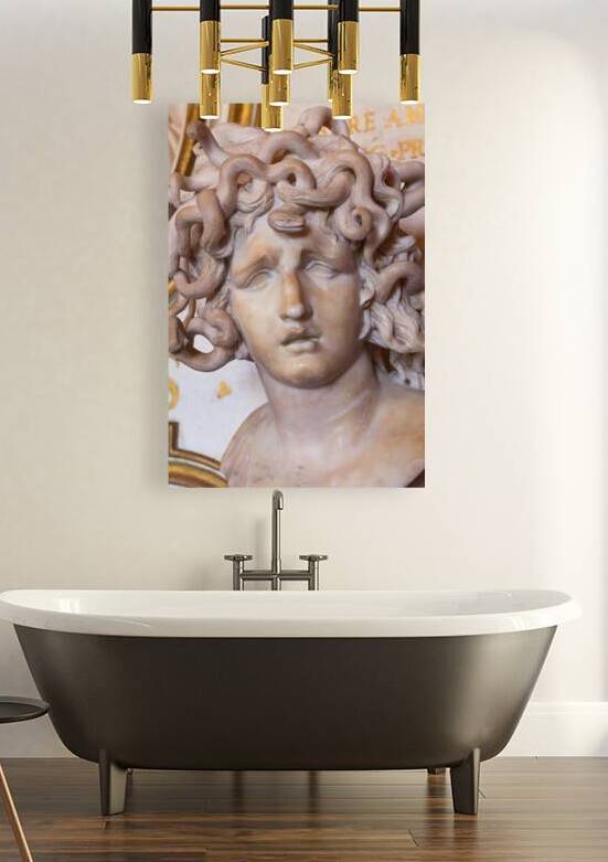 Bust of Medusa by Gian Lorenzo Bernini 1648 - marble by Paolo Modena