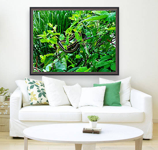 Snake on a Stick by The NC Geek